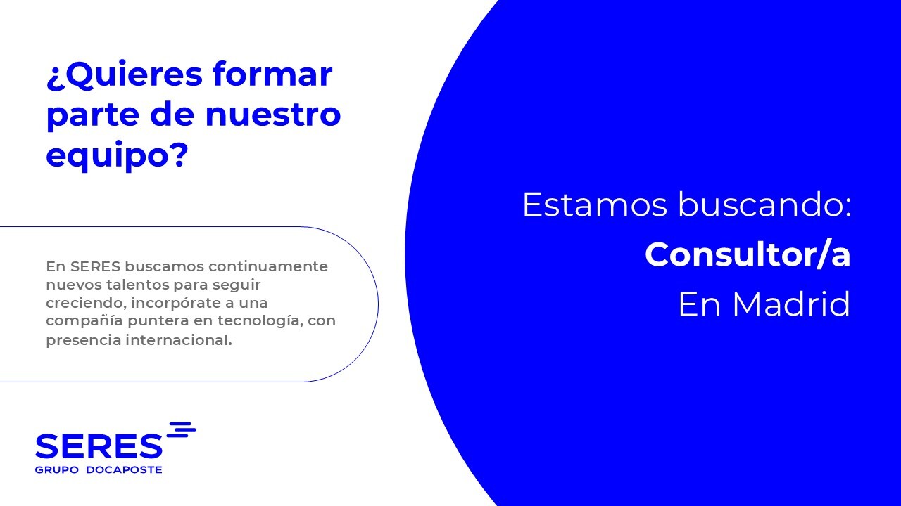 Consultor/a
